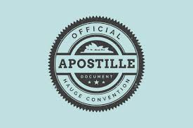 OBTAINING APOSTILLE VIA E-GOVERNMENT