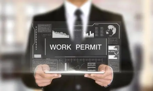 Türkiye Company Work Permit